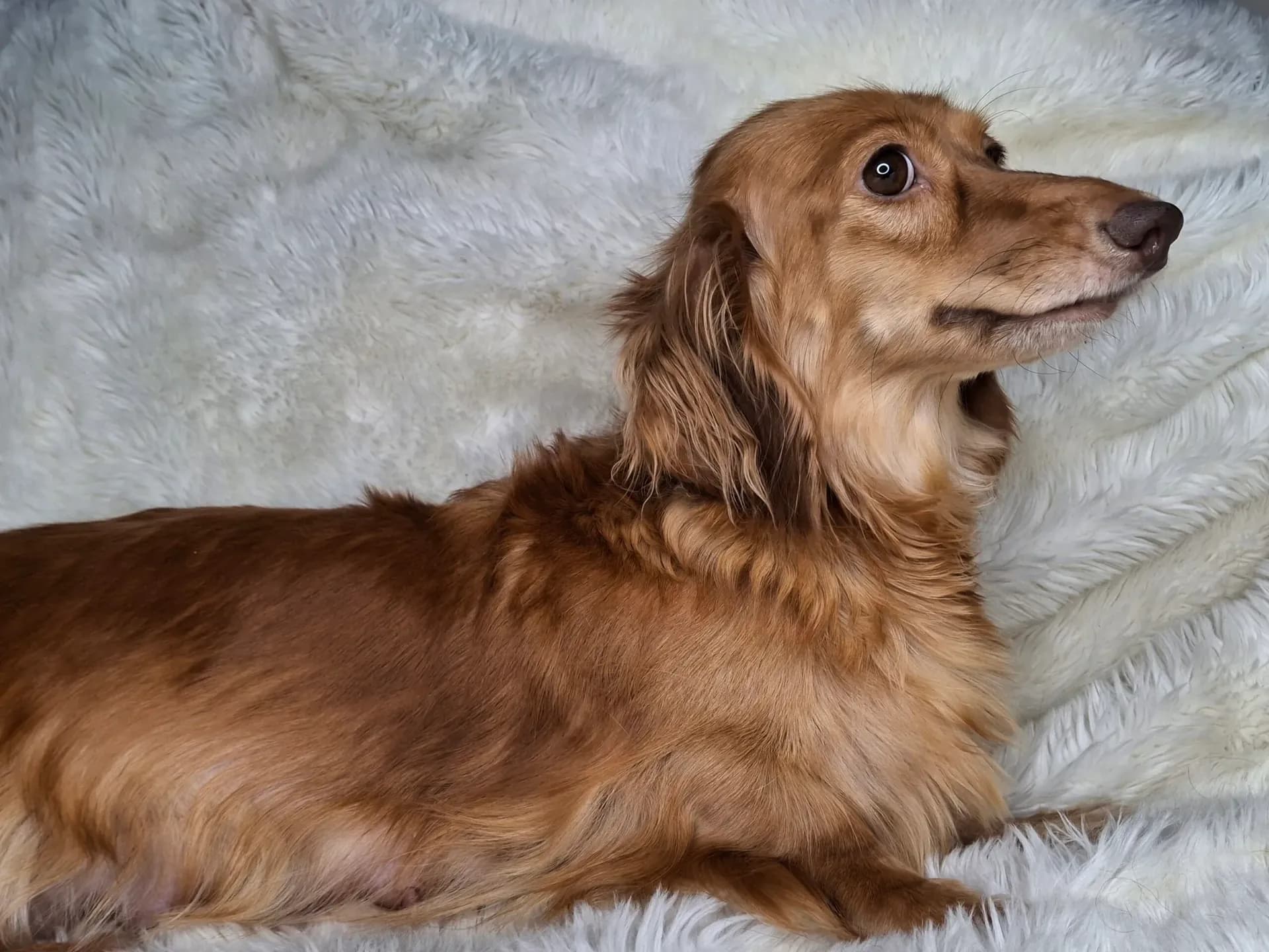 Della