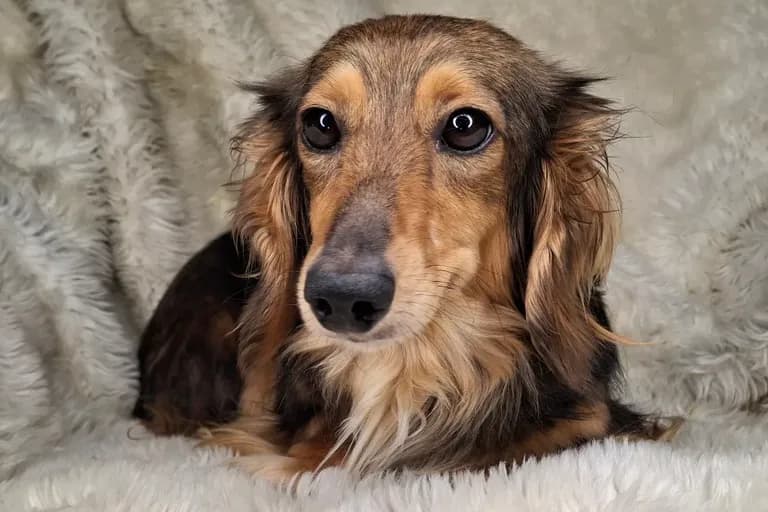 Fiona