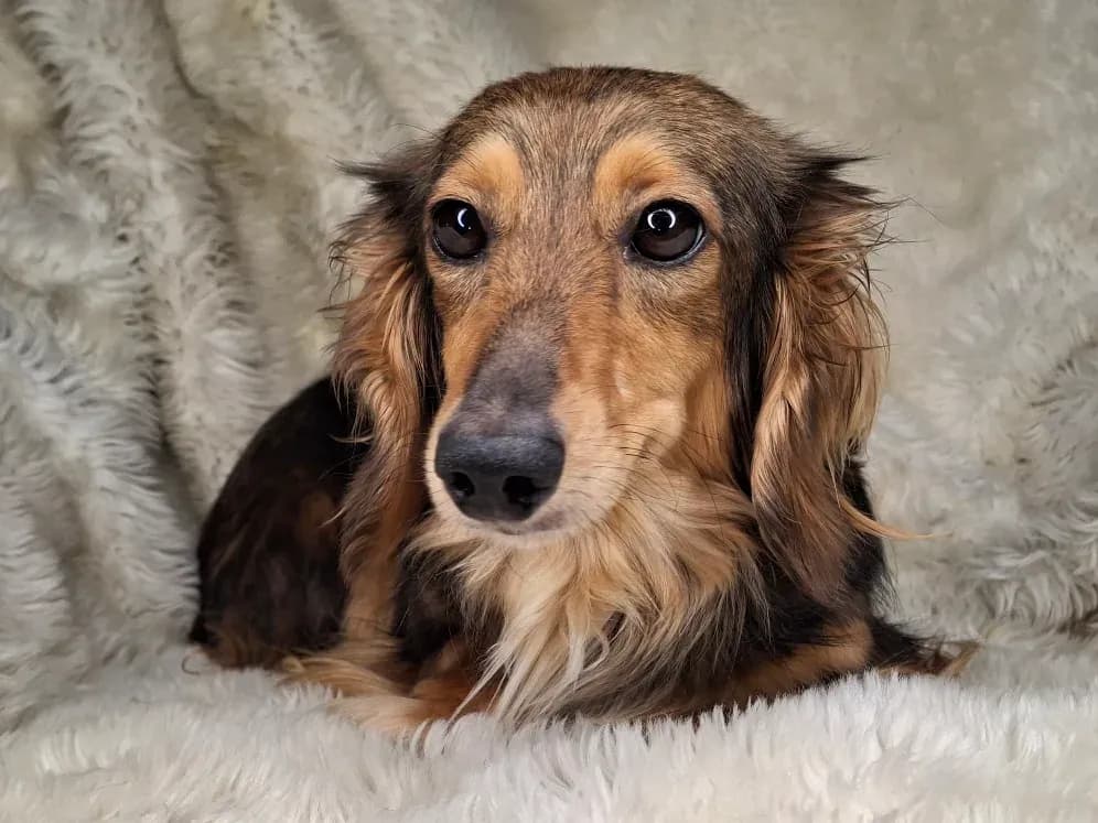 Fiona