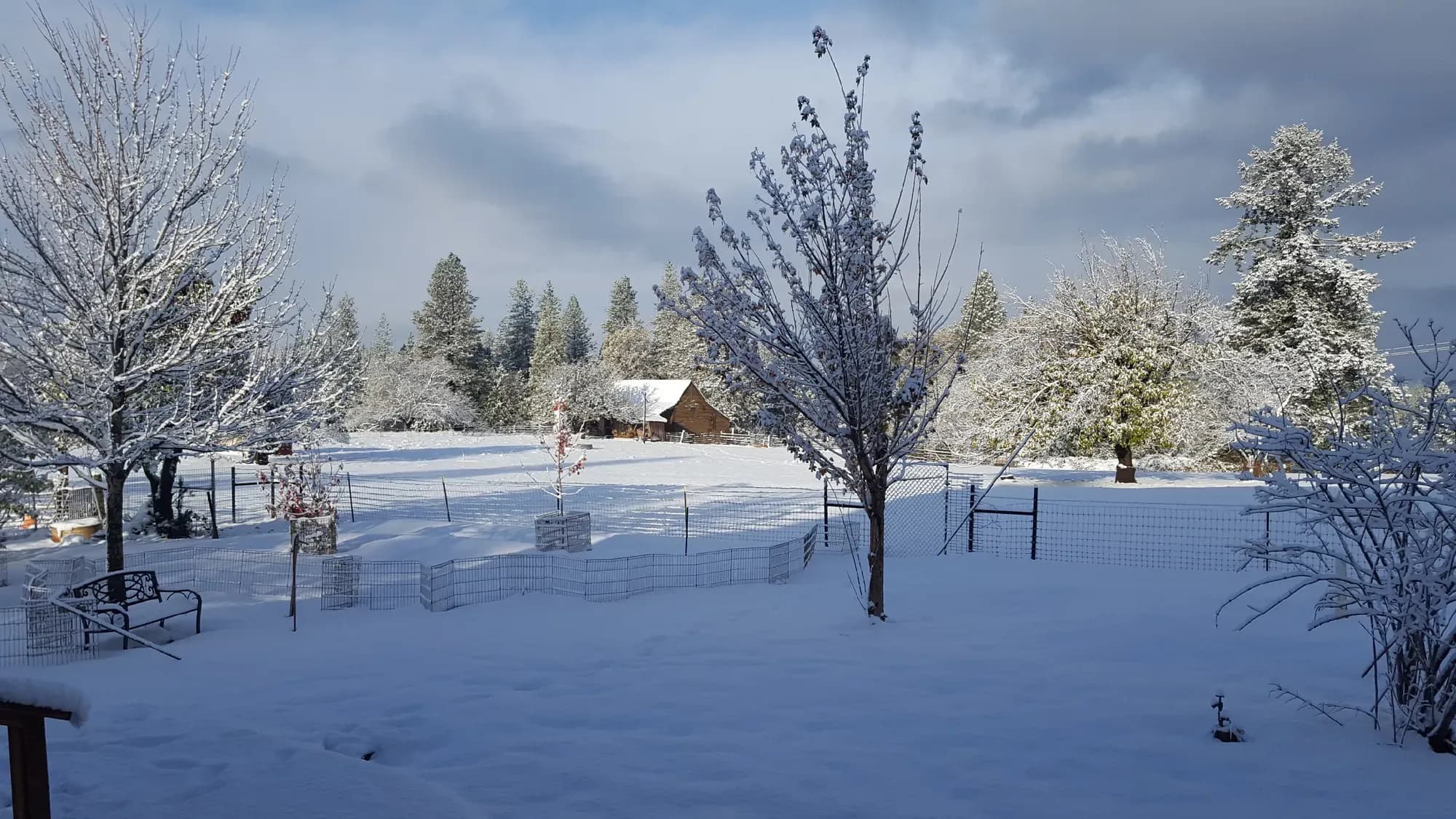 Songcatcher family ranch 7 in Northern California