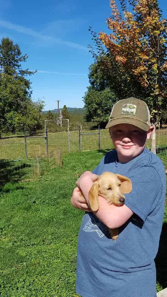 Songcatcher family ranch 11 in Northern California