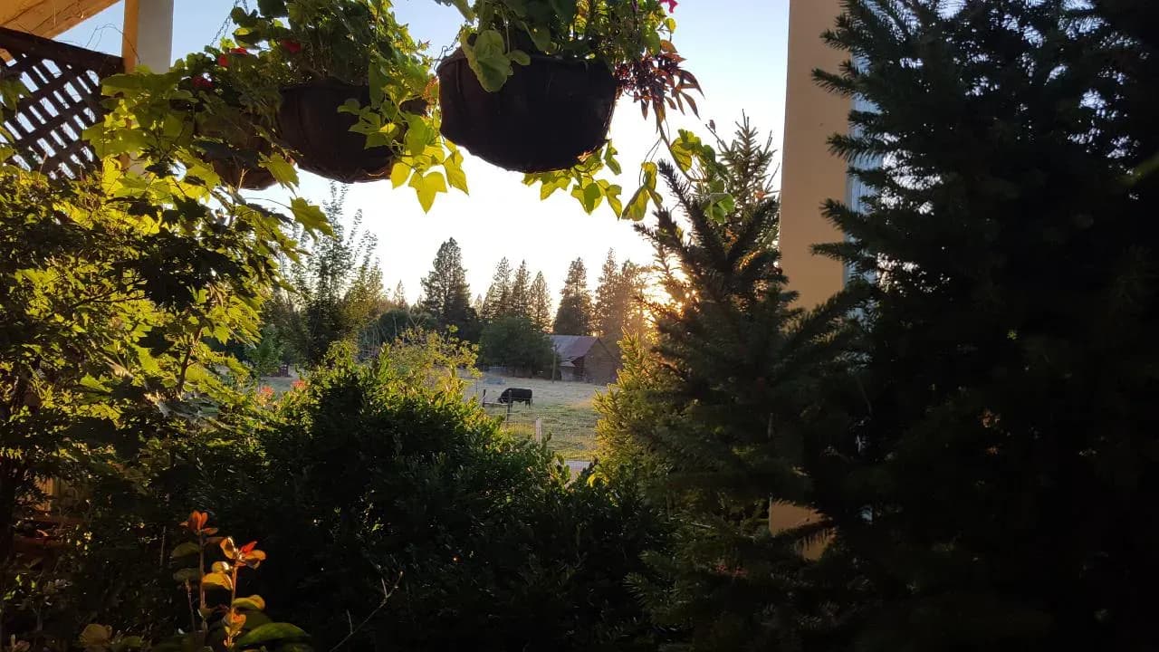 Songcatcher family ranch 3 in Northern California