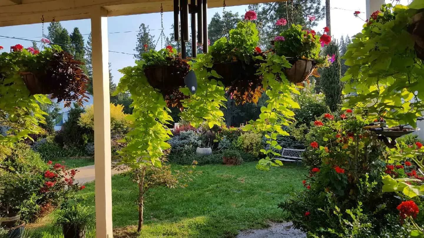 Songcatcher family ranch 9 in Northern California