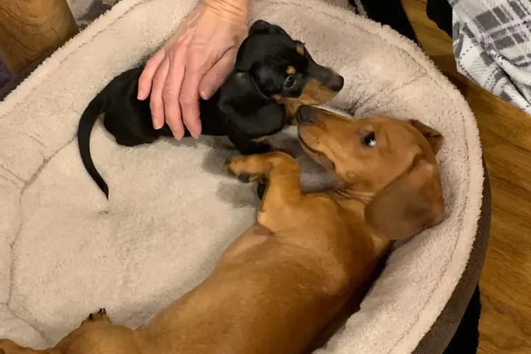 The March Family review photo