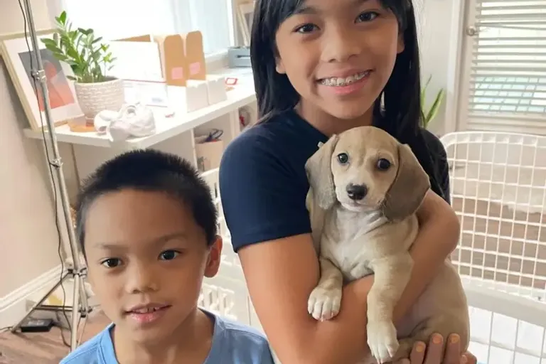 Vivero Family review photo