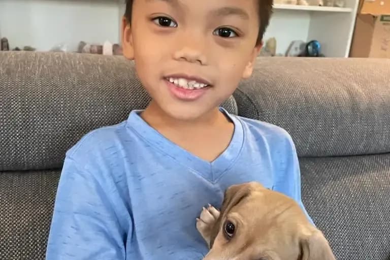 Vivero Family review photo