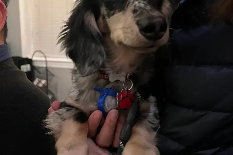 Erin review photo