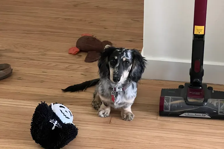 Erin review photo