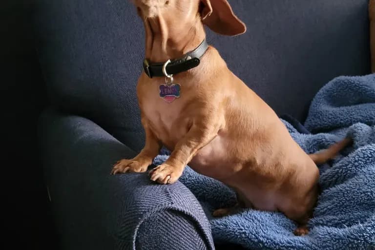 Ben T. review photo