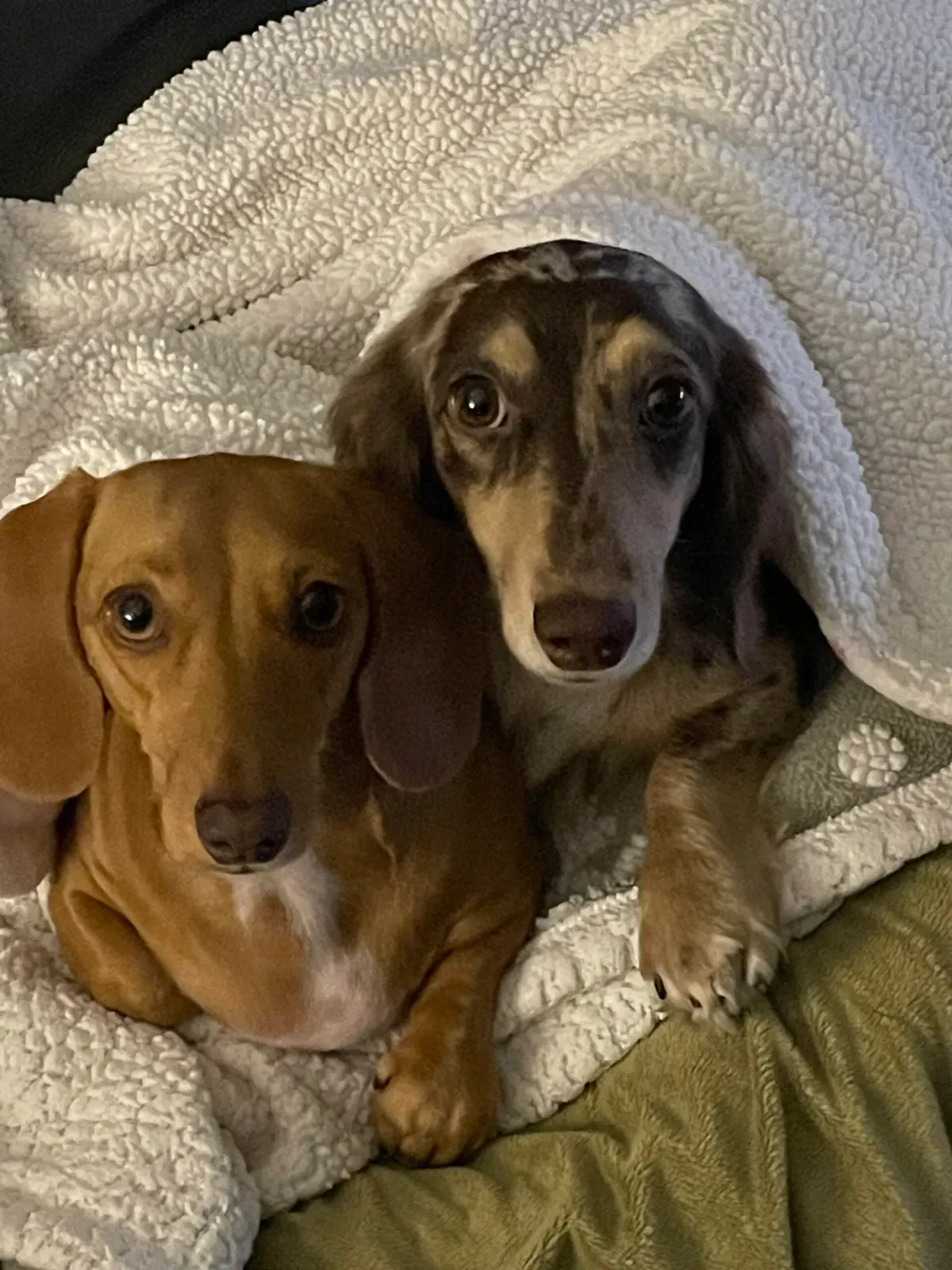 Sandy & Stan review photo