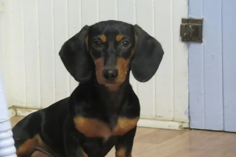 Ethel review photo