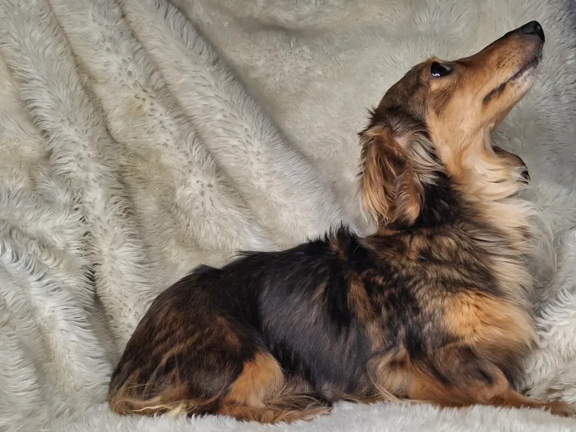 Fiona